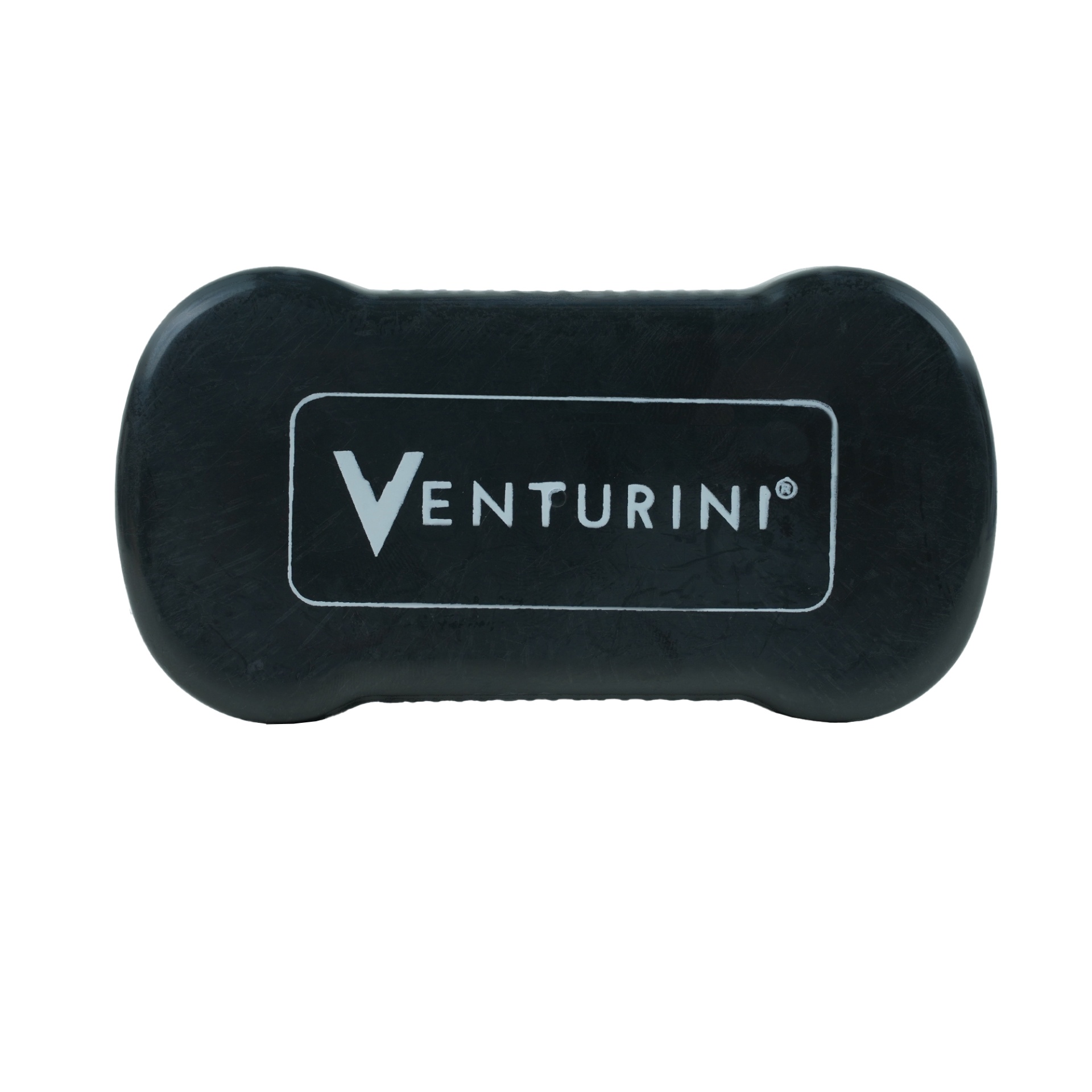 Venturini Sponge Shiner